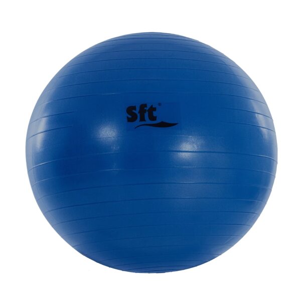 PELOTA GIGANTE SOFTEE FLEXI - Imagen 9