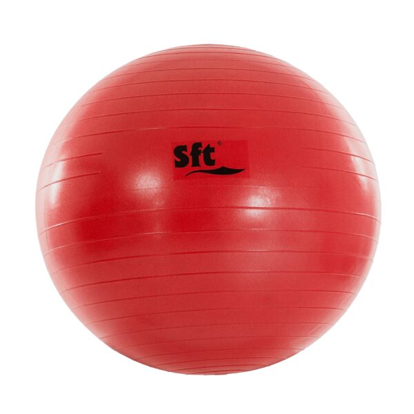 PELOTA GIGANTE SOFTEE FLEXI - Imagen 11