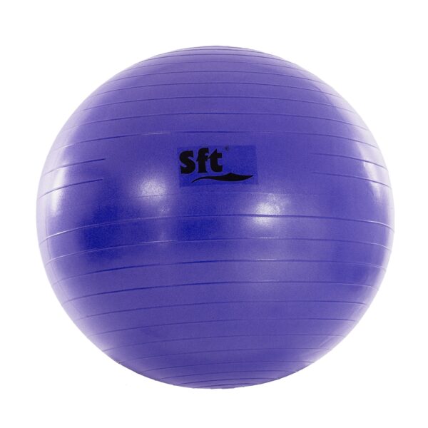 PELOTA GIGANTE SOFTEE FLEXI - Imagen 7