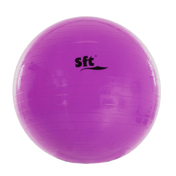 PELOTA GIGANTE SOFTEE - Imagen 7