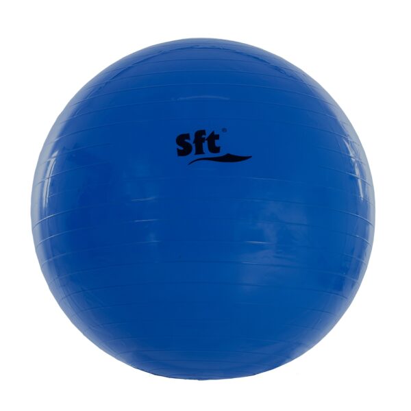 PELOTA GIGANTE SOFTEE - Imagen 5