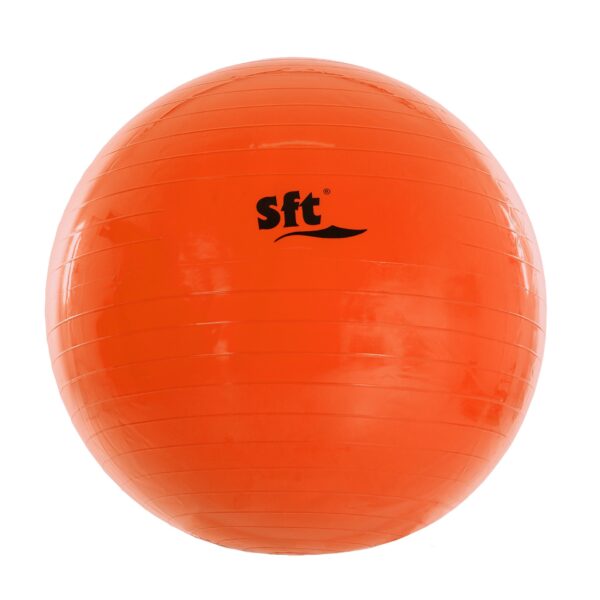 PELOTA GIGANTE SOFTEE - Imagen 10