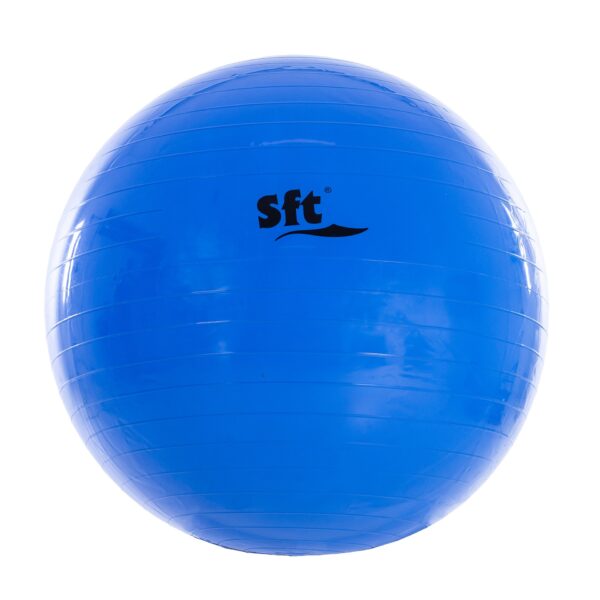 PELOTA GIGANTE SOFTEE - Imagen 2