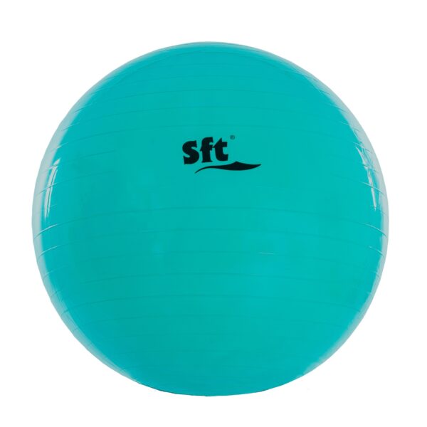 PELOTA GIGANTE SOFTEE - Imagen 8