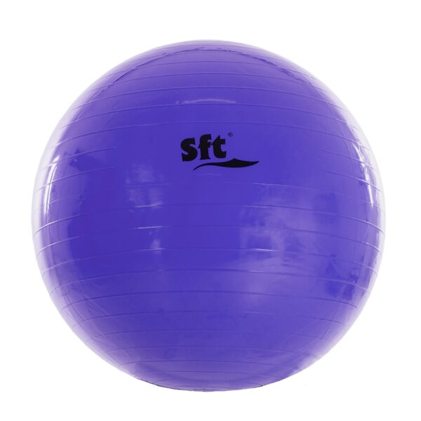 PELOTA GIGANTE SOFTEE - Imagen 4