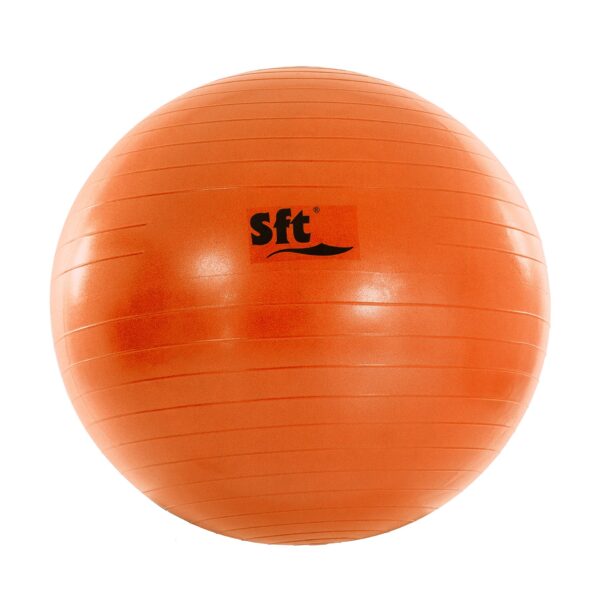 PELOTA GIGANTE SOFTEE FLEXI - Imagen 13