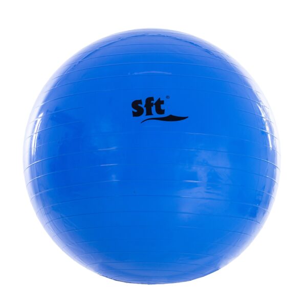 PELOTA GIGANTE SOFTEE - Imagen 9